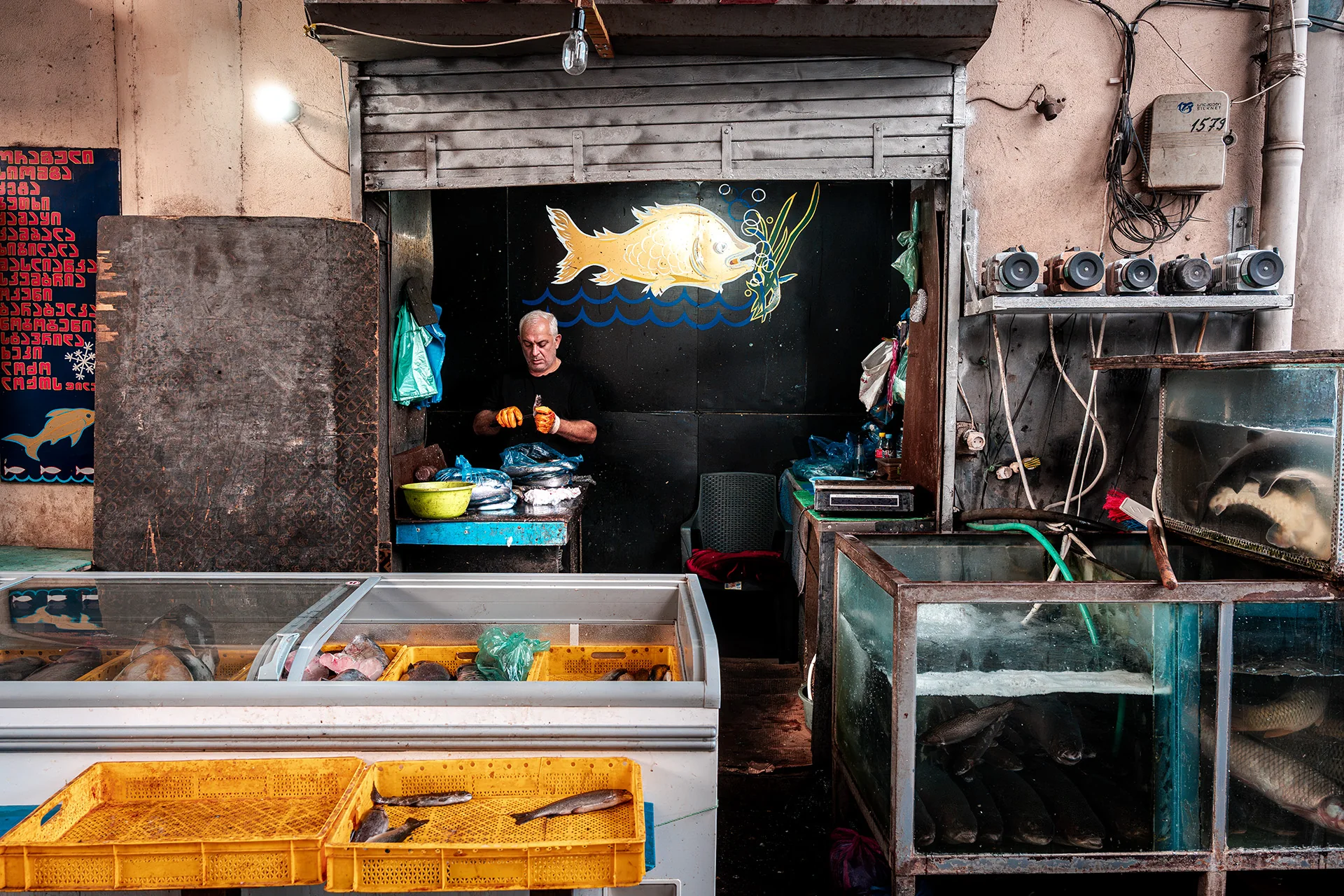 Stoisko rybne z akwariami na Dezerter Bazaar w Tbilisi